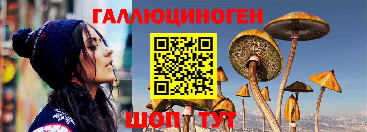 цены наркотик  Псилоцибиновые грибы Psilocybe  Набережные Челны  Вход с VPN  Галлюциногенные грибы Magic Shrooms 